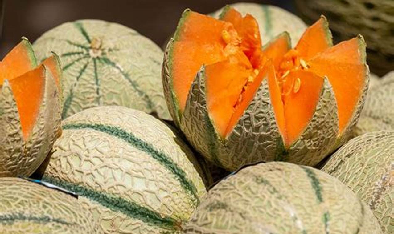 Tips Jitu Memilih Melon Manis, Dijamin Ketagihan!