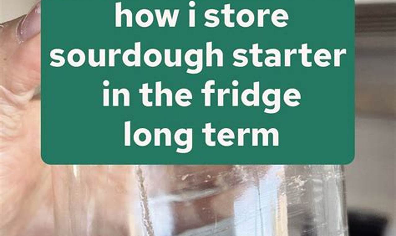 Unleashing Sourdough Magic: The Art of Using Sourdough Starter from the Fridge
