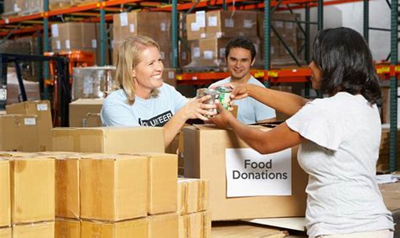 Volunteering at a Food Bank: Making a Meaningful Impact on Your Community