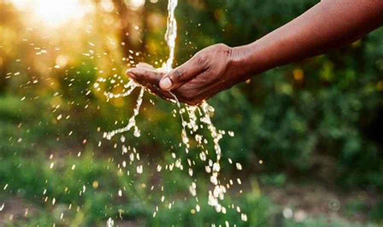 Uncover Proven Water Conservation Techniques in Agriculture: Insights and Discoveries