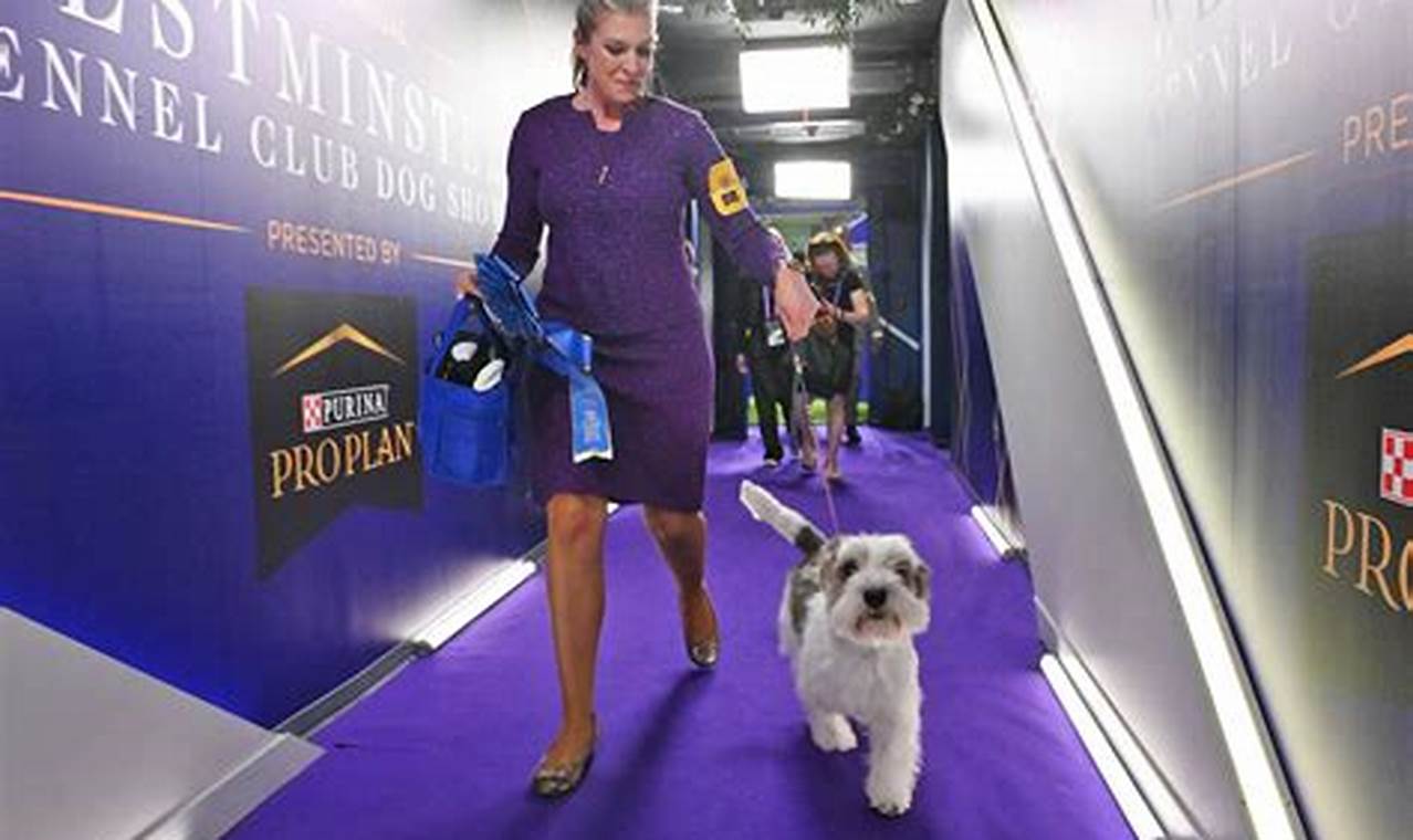 Westminster Dog Show 2024 Tickets Price