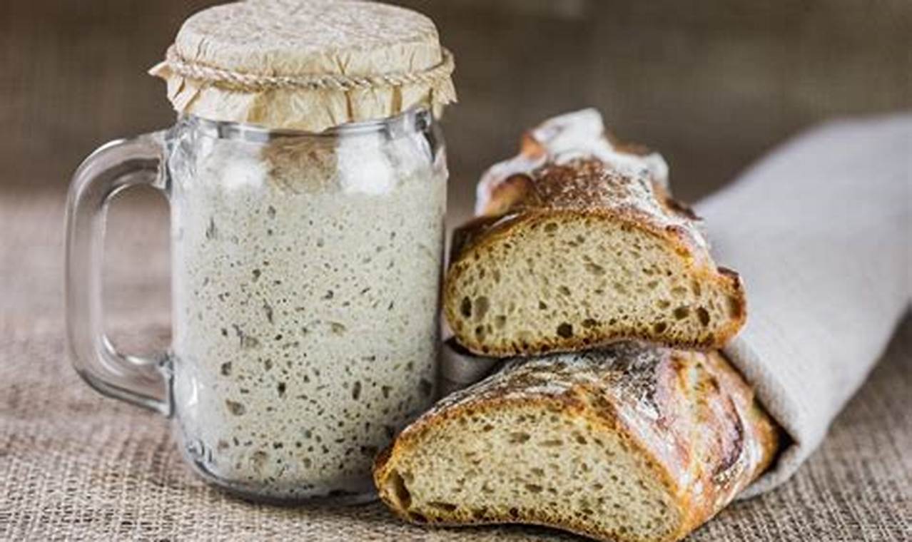 Sourdough Starter Mastery: Unleash the Culinary Power in Your Kitchen