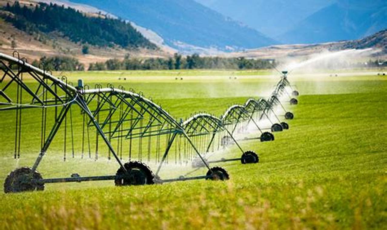 Unveiling the Most Water-Efficient Farming Practices: Discoveries and Insights