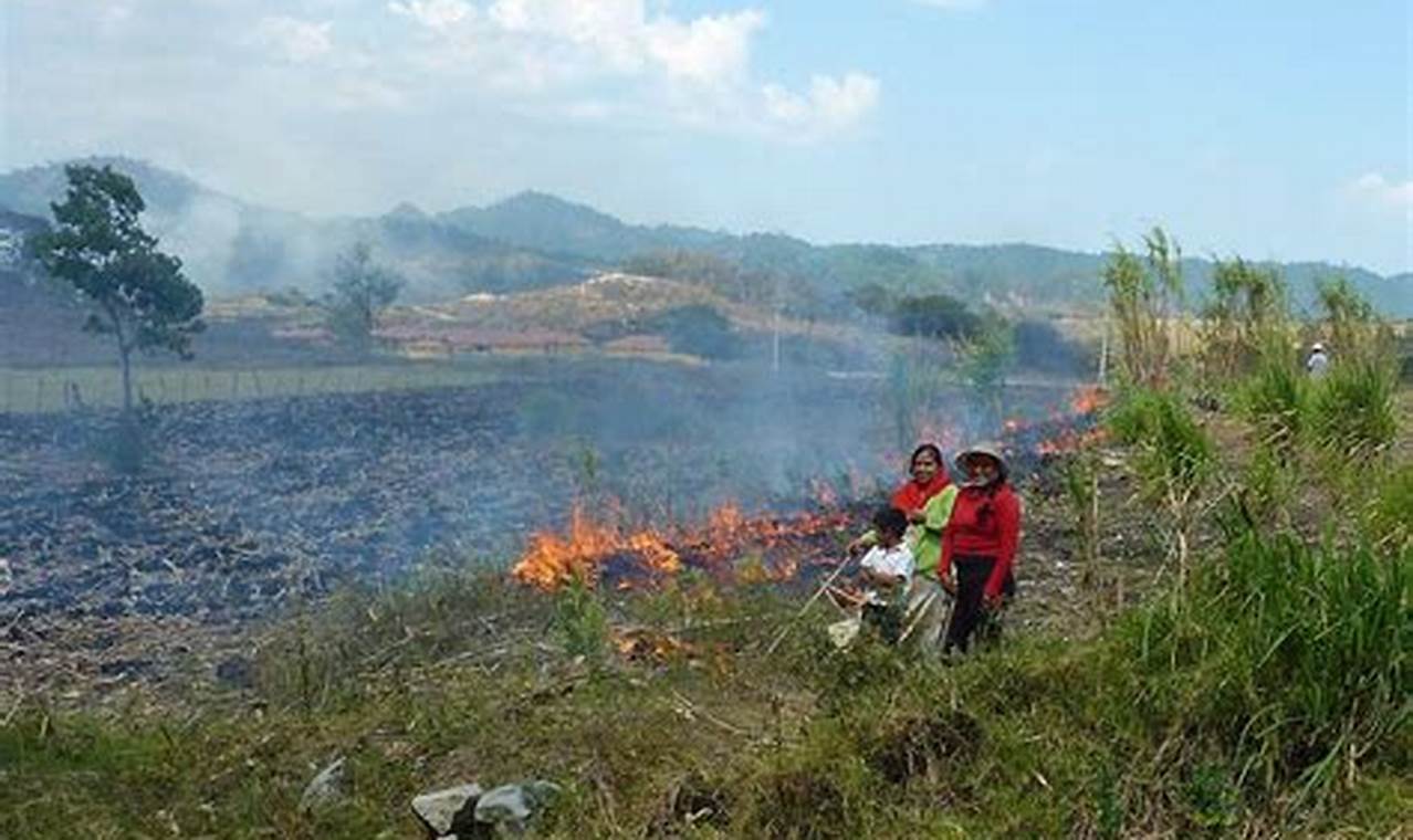 Unveiling the Risks: Why Slash and Burn Farming Must End