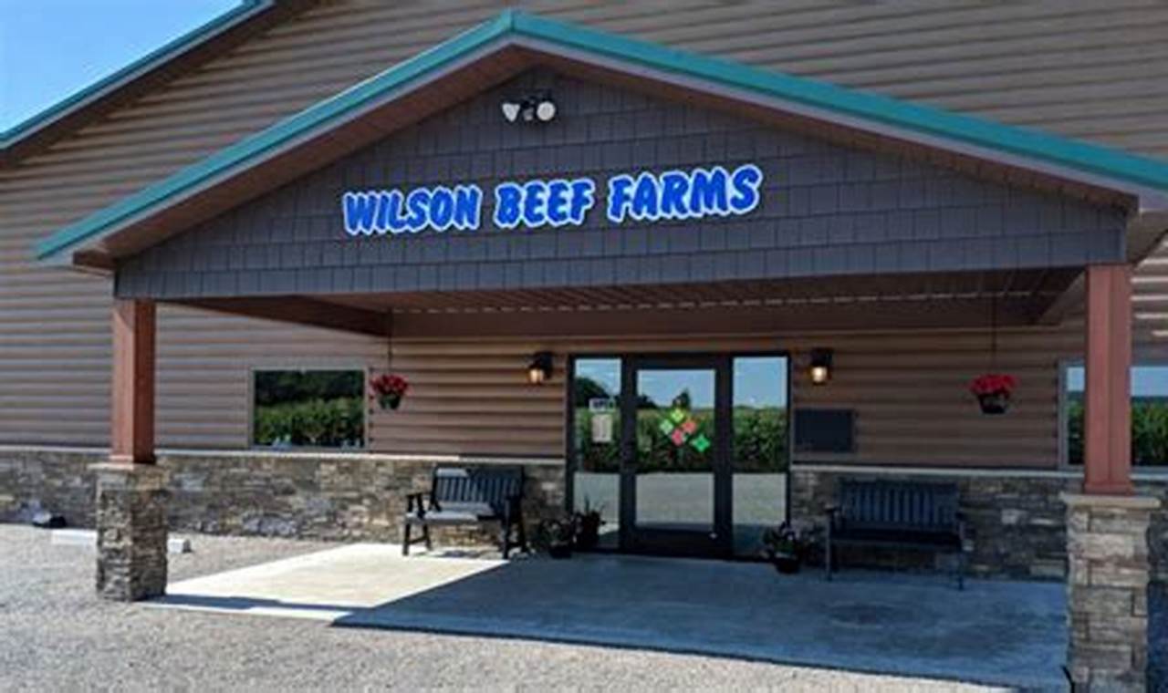 Unveiling the Secrets of Wilson Beef Farms: A Journey of Sustainable Excellence