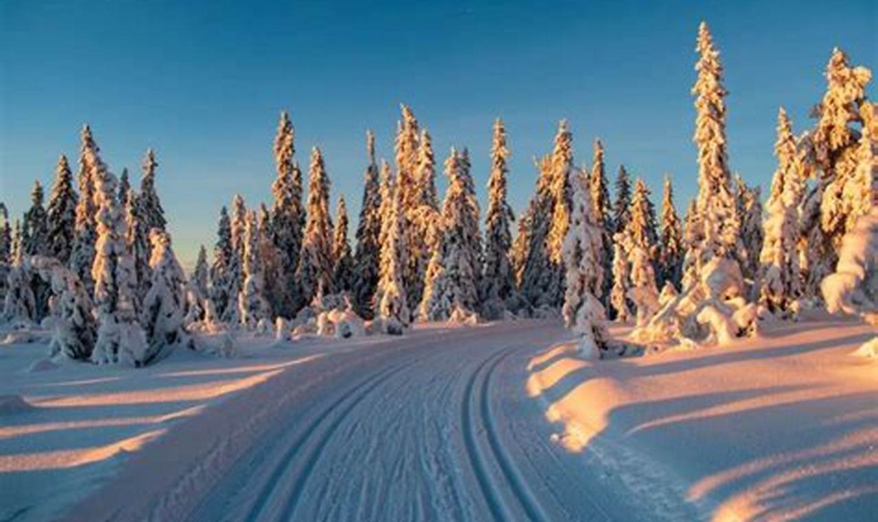 Entdecke den Winter neu: Geheimnisse und Wunder der kalten Jahreszeit