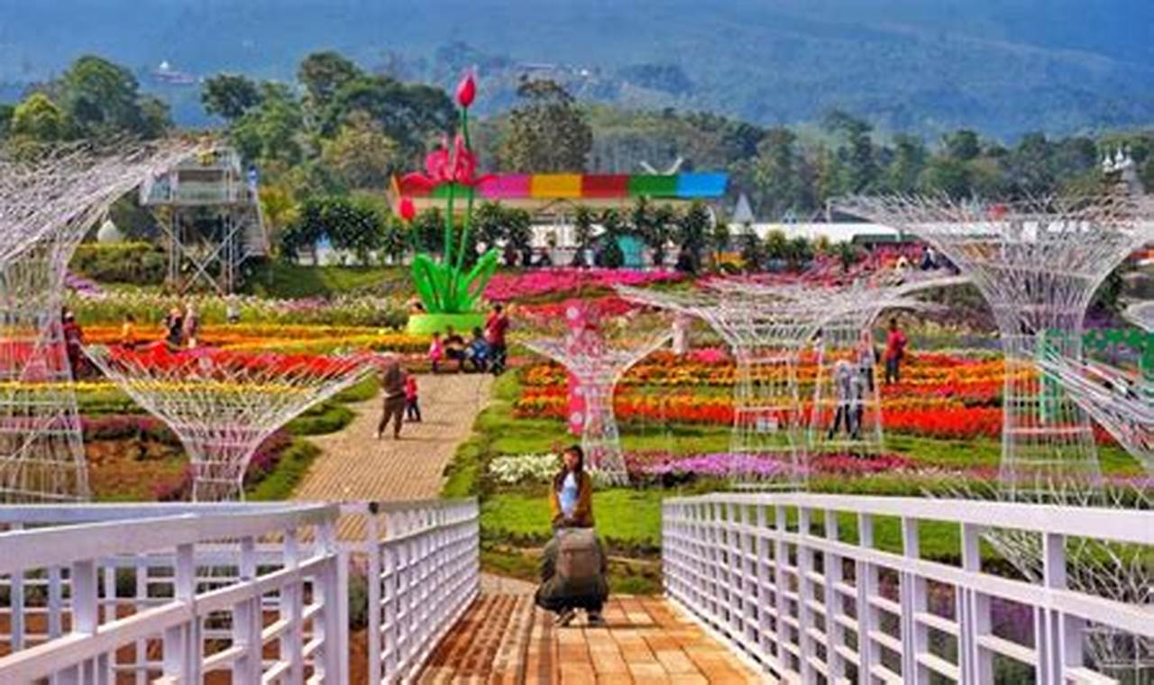 Wisata Taman Bunga Celosia: Panduan Lengkap untuk Liburan Menyenangkan