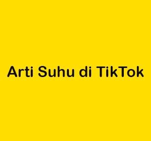 arti suhu di TikTok