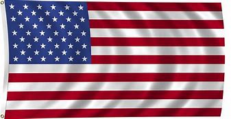 Image result for us flags 1960