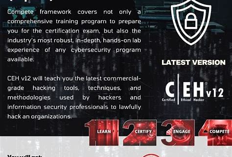 ethical hacking in indonesia
