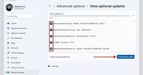 Checking for Conflicts with Other Programs and Drivers windows 11
