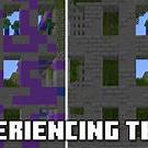 OptiFine Missing Features