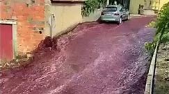 Plusieurs millions de litres vin rouge se déversent dans les rues du Portugal