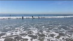 Koa surfing #blackies #newportbeach #newportpier#surfridersacademysurfschool #mmasurfing #ocsurfcoach #kidslovesurfing | Surfriders Academy Surf School