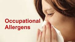 Occupational Allergens