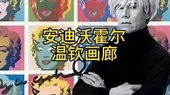 波普艺术开创者：安迪．沃霍尔 Andy Warhol