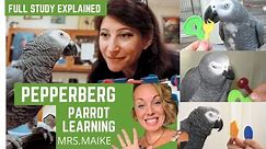 🌟 Pepperberg Parrot Learning 1987, Irene Pepperberg @aicepsychology