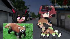 My son with his ugly ass pet kill melted crayon with her ugly red raccoon ##cranberry_angel❌##cranberry_angelfans❌##katieangelfans##gacha##gacha##gachacommunity##gachatrend##budsforbuddies##thaythay##cranberry_angel_isbad##animals##bellathewolf##recommended##gachaedit##funny##budsforbuddiesytt##gachaclub##pride##gachalife##budsforbuddiest##budsforbuddiesyt