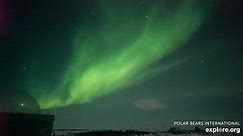 explore.org - Aurora Borealis are out early tonight in...