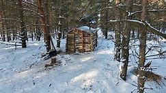 My Cozy Forest House Sheltered Me on a Cold Winter Day, Forest Cooking .#SoloCamping #BuildingSurvivalShelter #campingchallenge