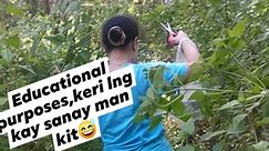 Collecting of family poaceae plants,.which commonly known as grasses.,. | Thiacyn Agus Toleran-Dominice