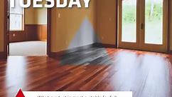 Tradie Tip Tuesday: SikaBond®-58 Wood Floor