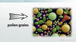 Pollination | Definition, Types & Methods