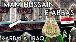 The BEST View of Imam Hussain Shrine in KARBALA, IRAQ (+ Al-Abbas) Iraq Travel Vlog كربلاء