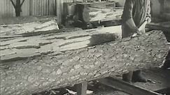 Ever wondered how the plywood used for many mid-century design icons were made? In this high-speed video you’ll get an idea. Take a look at the production of plywood in Sweden in the late 1930’s! Kinda impressive lathe, don’t you think?! ✶📺 🅈🄾🅄🅃🅄🄱🄴 📺Check out our 𝗬𝗼𝘂𝗧𝘂𝗯𝗲 channel ‘Scandinavian Design 101’ about Scandinavia and modern design history.✶ #diy #production #howitsmade #lathe #woodworking #craft #design #1930s #nordicdesign #designinterior #scandinavian #modernist #nordi