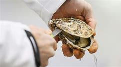 Intoxications, interdictions… Faut-il manger des huîtres pendant les fêtes?