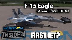 Horizon Insider: The E-flite F-15 EDF - A True First Jet?