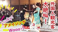 【リアルな海外の反応】外国人観光客 日本の夜に大絶叫!!ほんとに舞妓さんが来るとは!!大混雑の祇園