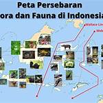 Karakteristik dan Habitat Soomer di Indonesia