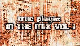 Various - DJ Hype Presents True Playaz In The Mix Vol 1