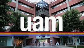 Proceso de... - UAM Universidad Autónoma Metropolitana