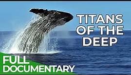 Titans of the Deep - The Fascinating World of Whales | Free Documentary Nature