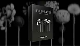 Idiophones - Overview