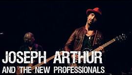 Joseph Arthur and the New Professionals Live at the Sellersville Theater Complete Show 12/5/13