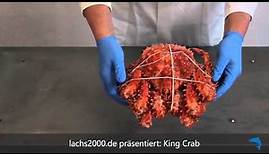 Königskrabbe (KingCrab) im Stück