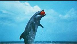 Der Tag des Delfins (1973) DEUTSCH TRAILER