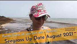Punta Cana Seegrass Report - SPEZIAL - August 2021 - Entlang am Bavaro Beach und in Macao Beach