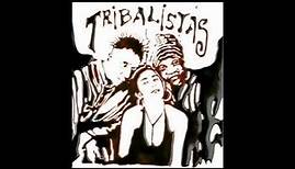Tribalistas 2002 Full Album CD Completo VDownloader