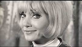 Why You Could EASILY Fall For Susan Oliver