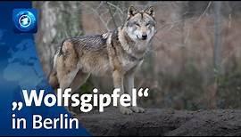 Rückkehr der Raubtiere in Deutschland: Schutz von Weidetieren vor Wölfen