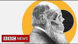 Theory of Evolution: How did Darwin come up with it? - BBC News