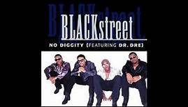 Blackstreet - No Diggity (Single Version)