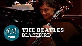 The Beatles - Blackbird (Orchester-Version) | WDR Funkhausorchester