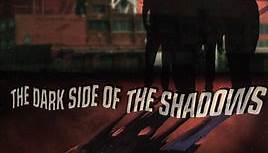 The Shadows - The Dark Side Of The Shadows