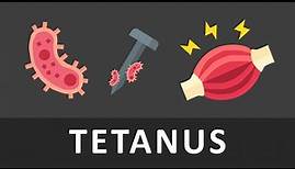 Tetanus einfach erklärt | Tetanustoxin | Tetanospasmin | Nervengifte | Clostridium tetani