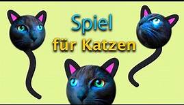 Katzenspiele mit Miauen von Kätzchen, die Katzen gerne hören. VIDEOS FÜR KATZEN. Unterhaltung CAT TV